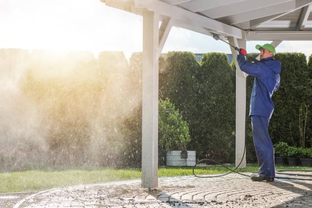 Best Sidewalk and Walkway Cleaning  in Seneca Knolls, NY